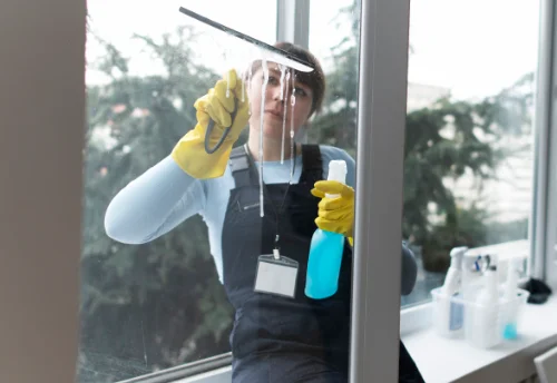 Nettoyage de vitres intérieures et extérieures à Mesnac